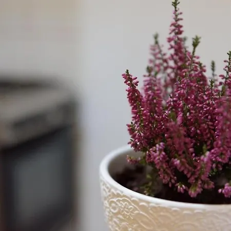 アパート Ultracentral With View - Old Town *